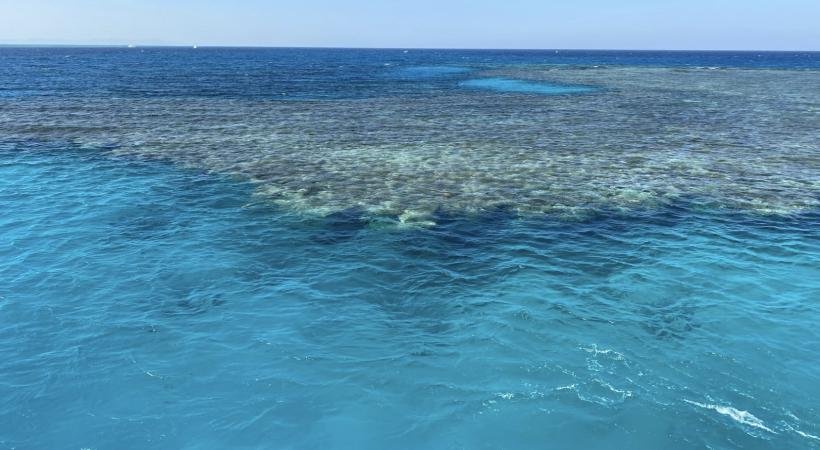 Ozirea Island